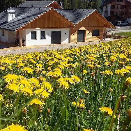 Chalet Soredl Antermoia Εξωτερικό φωτογραφία