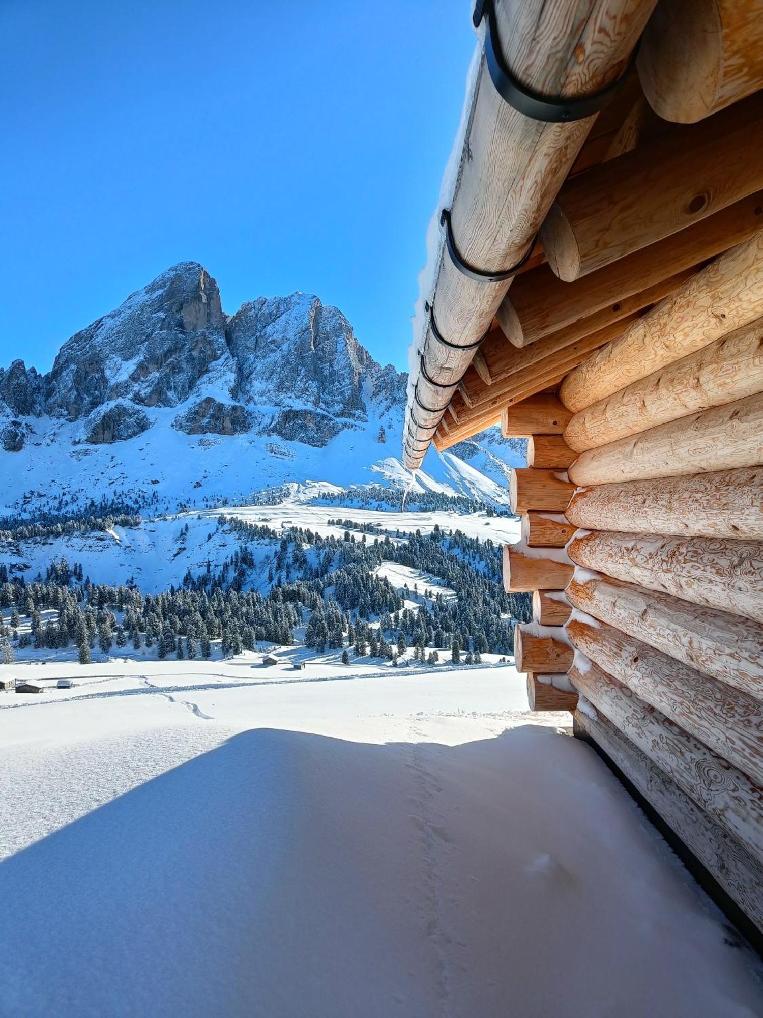 Chalet Soredl Antermoia Εξωτερικό φωτογραφία